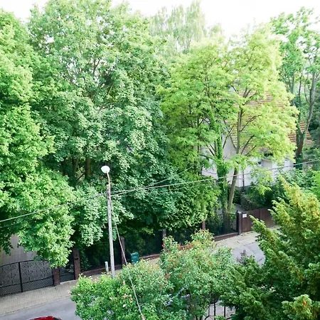 Msc Zielony Widok - Green View *